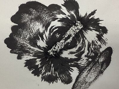 Eisenfeilspäne auf Papier