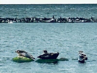 Schülerinnen und Schüler der Jahrgangsstufe 8.1