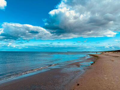 Schülerinnen und Schüler der Jahrgangsstufe 8.1